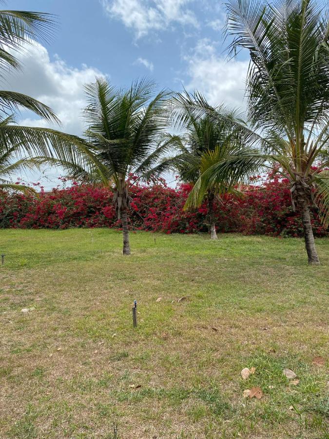 Pousada Sitio Parque Dos Lencois Hotel Barreirinhas Kültér fotó